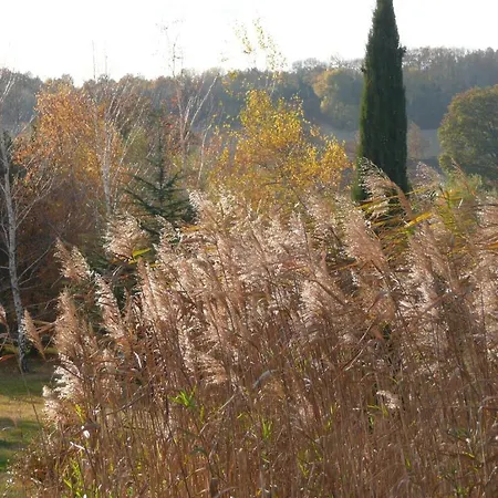 La Source, Vegetarian 3*